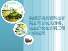 陕西万福景观挡墙、生态护坡在水利工程中的应