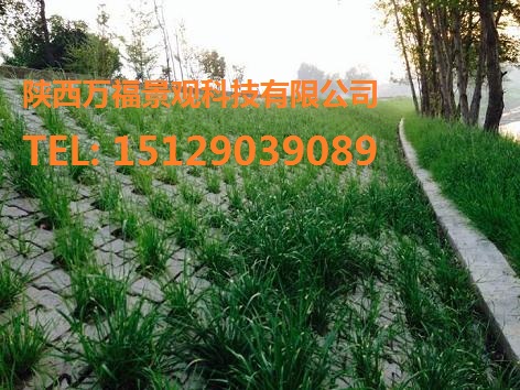 汉阴月河生态护坡案例