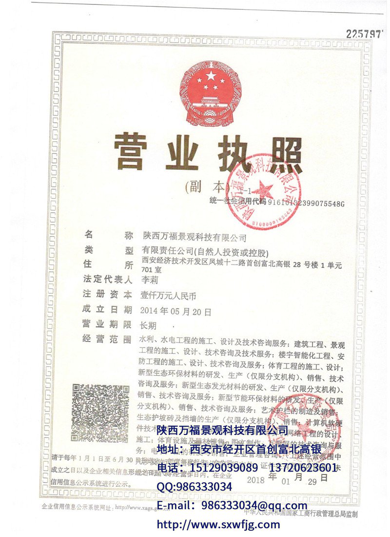 执照